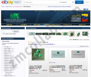 ZMCollab ebay, amazon, shopify, wordpress, bigcommerce store design and product listing templates Emeraldelegance