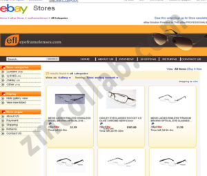 ZMCollab ebay, amazon, shopify, wordpress, bigcommerce store design and product listing templates Eye Frame Lenses