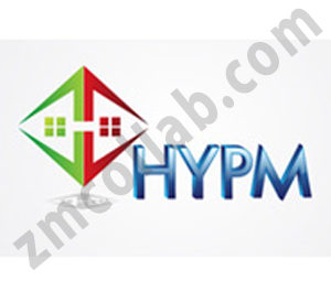 ZMCollab logo design HYPM
