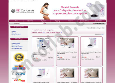 ZMCollab ebay, amazon, shopify, wordpress, bigcommerce store design and product listing templates MD Conceive