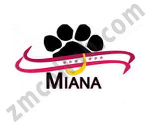 ZMCollab logo design Miana