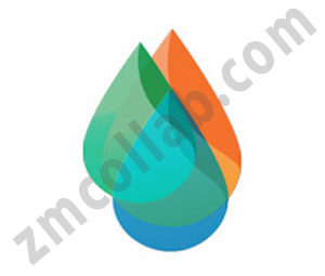 ZMCollab logo design ThinNow